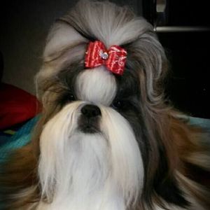 Meet your Posher, Jill